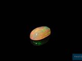 an oplite in the dark