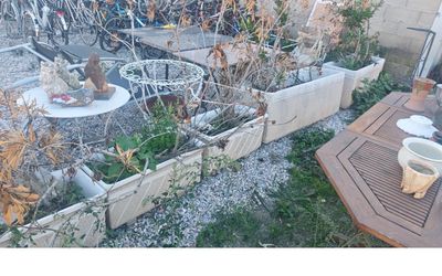 vue sur un jardin depuis une fenêtre d'une maison