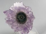 purple amethorate flower on a clear acrylic stand