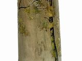 a glass vase with a tree on it on a white surface