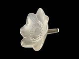 an image of a close up of a glass flower on a black background