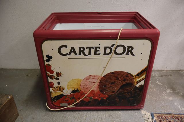 Conservateur à glace CARTE D’OR. Non testée. Visite à l'hôtel des...