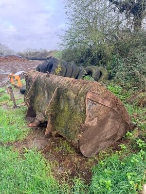 un grand arbre qui a été abattu au bord de la route