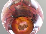 an image of a vase with an apple inside of it