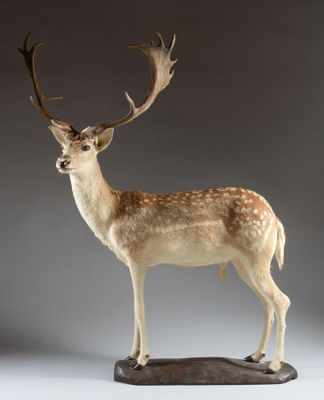 une image représentant une statue de cerf avec des bois sur la tête