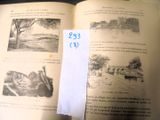 Photo 31/48 du lot