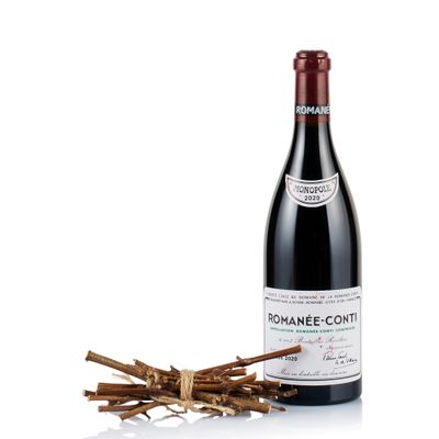 a bottle of red wine next to a bunch of sticks