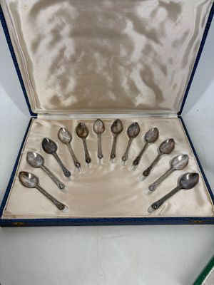 many spoons and spoon spoons in a blue case