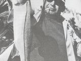 a man that is holding a fish in his hand