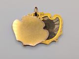 a close up of a gold plated pendant with a picture of a fish
