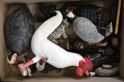 a box full of different types of birds in it