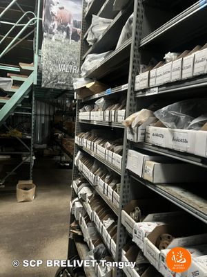 UNE ETAGERE DE PIECES AGCO CONTENANT PLUS DE 110 REFERENCES - Photo 1