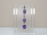 an image of a display case with a pair of earrings on it