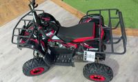 Quad enfant DIAMON Rino 125 cc, 4 temps (photo 4)
