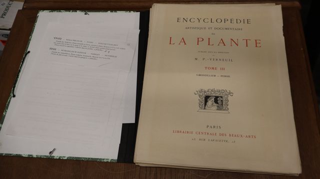 Encyclopédie de la plante (4 tomes)