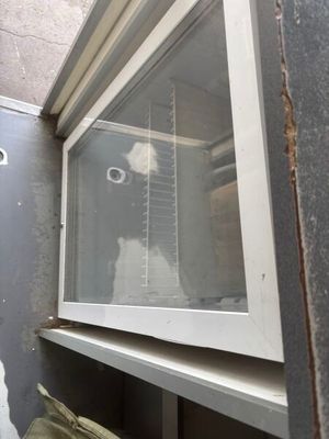 un chien qui regarde par la fenêtre