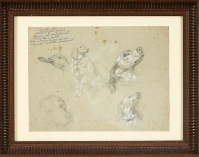 un dessin représentant trois chiens et un chat, dans un cadre