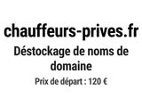 Photo 1/1 du lot