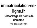 Photo 1/1 du lot