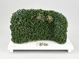 une sculpture représentant une plante verte posée sur un socle blanc