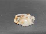 a small piece of white and orange marble on a table