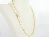 a close up of a mannequin with a necklace on it