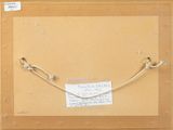 a picture of a piece of paper with a string attached to it