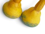 two yellow gourds sitting on top of each other