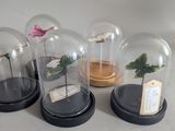 four glass cloches with flowers in them on a table
