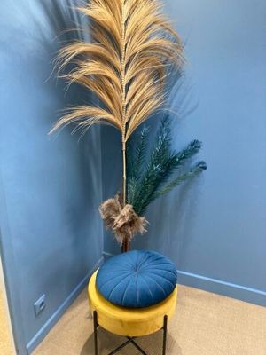 une plante posée sur un tabouret dans un coin de la pièce