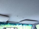 a dog that is sitting in the back seat of a car