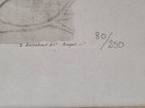 a drawing of a fish on a piece of paper
