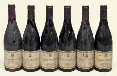 six bouteilles de vin sont alignées sur une surface blanche