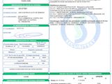 a green and white document with a picture of a person on it