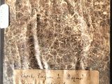 a piece of paper with writing on it on a table