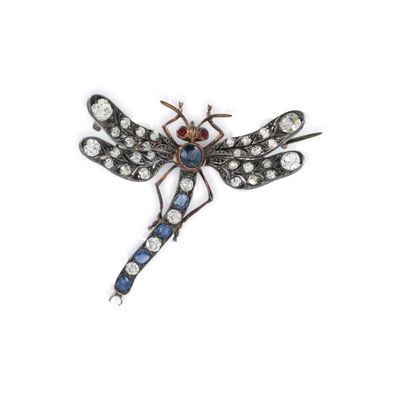 une photo d'une broche en forme de libellule ornée de cristaux bleus et blancs