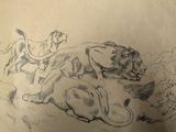a drawing of a lion and a lioness in a field
