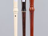 three different types of flutes on display on a clear stand