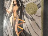 the cover of a book with a woman in a long dress