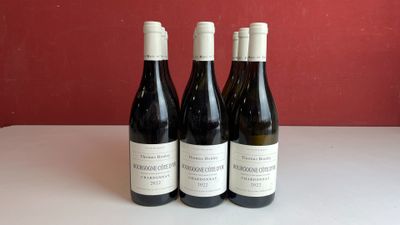 trois bouteilles de vin sont posées sur une table devant un mur rouge
