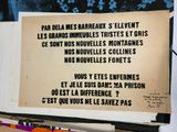 Photo 31/40 du lot