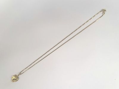 an image of a gold necklace on a white background
