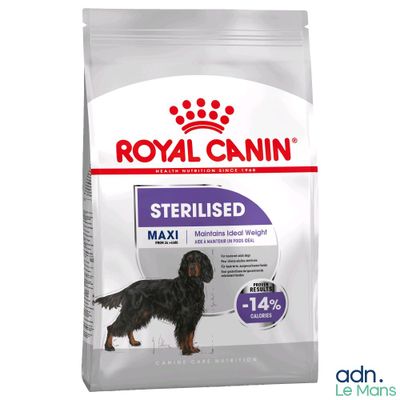 Alimentation pour chiens stérilisés Royal Canin Maxi
