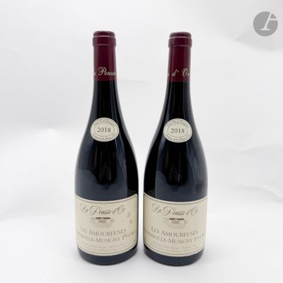 deux bouteilles de vin rouge posées l'une à côté de l'autre sur une surface blanche
