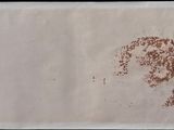 a piece of paper with a drawing of a dog on it