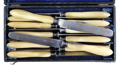 Suite de 12 COUTEAUX A FRUITS ou DESSERT, manches en corne, … - Photo 1