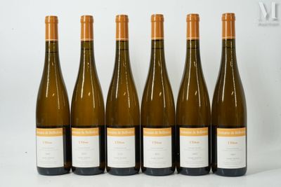six bouteilles de vin blanc sont alignées