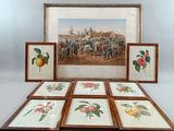 six framed prints of fruit and flowers on display in front of a picture