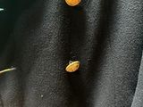 Photo 11/23 du lot