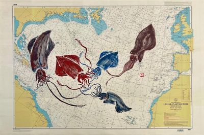 un dessin représentant des calmars sur une carte de l'océan